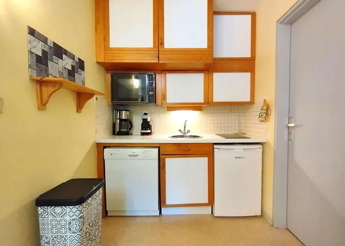 T2 Avec Balcon Au Cœur Des Thermes - 6 Pers, Parking, Proche Télécabines, équipé Confort - Fr-1-457-230 *